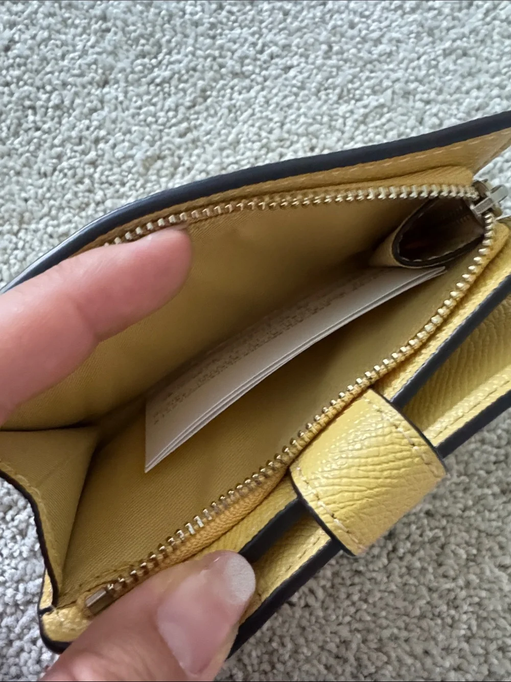 Coach signature pebble